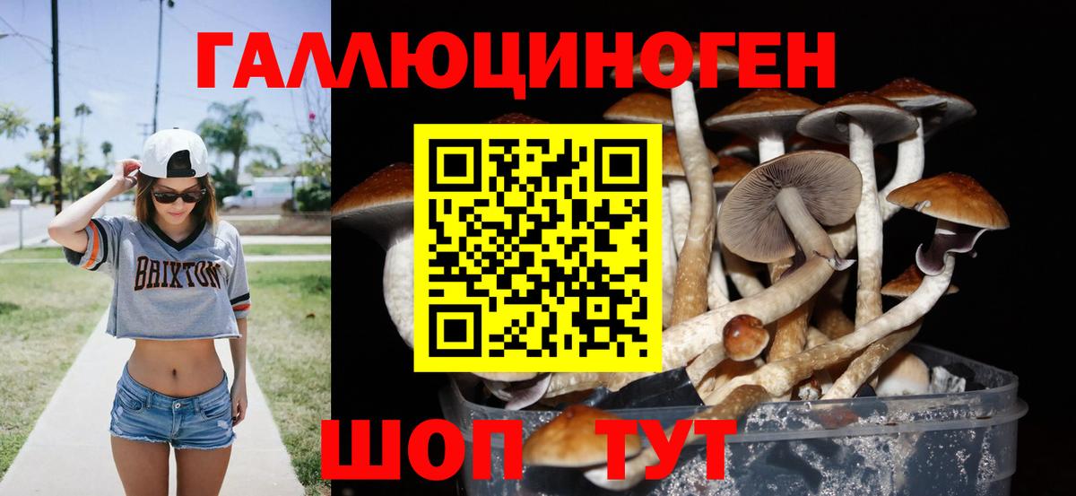 купить наркотики сайты  Псилоцибиновые грибы Psilocybine cubensis  Вход с VPN  Псилоцибиновые грибы GOLDEN TEACHER  Отрадный 